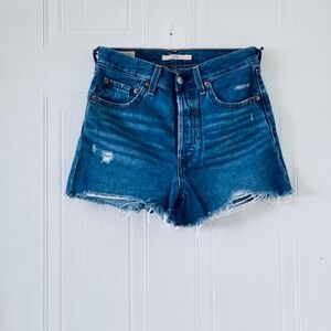 ARITZIA Ribcage Short by Levi's